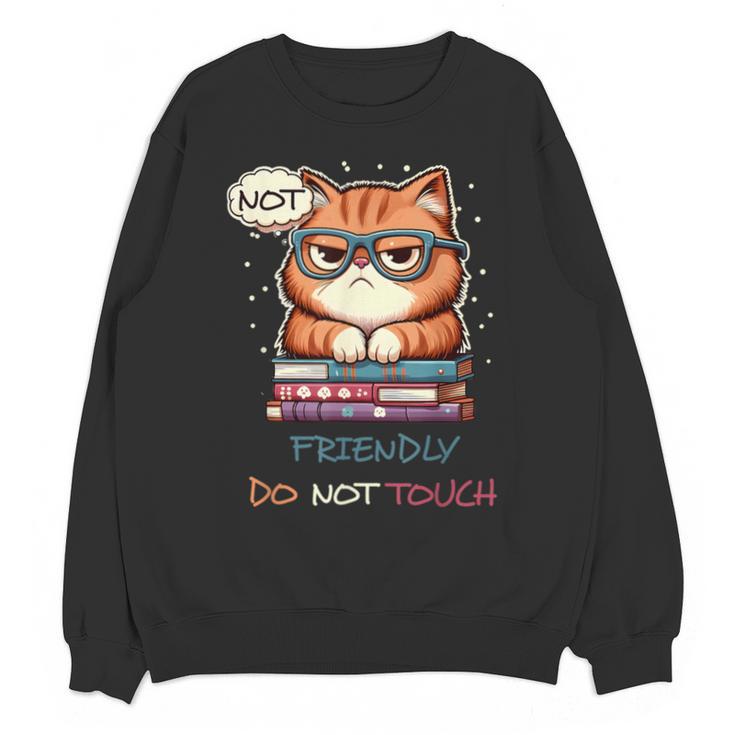 Sarcastic Loner Introvert Not a Friendly Do Not Touchs Unisex Sweatshirt