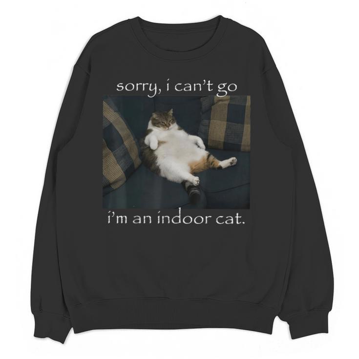 Sorry I Can’t Go I’m An Indoor Cat Introvert Meme Unisex Sweatshirt