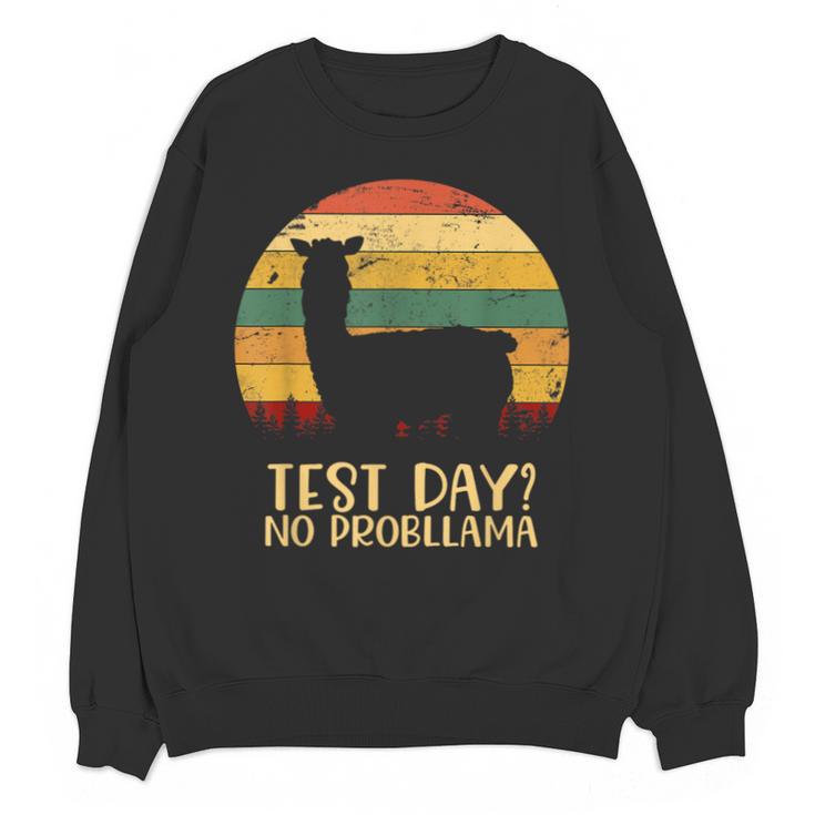 Test Day No Probllama Silhouette Teacher Student Graduation Unisex Sweatshirt