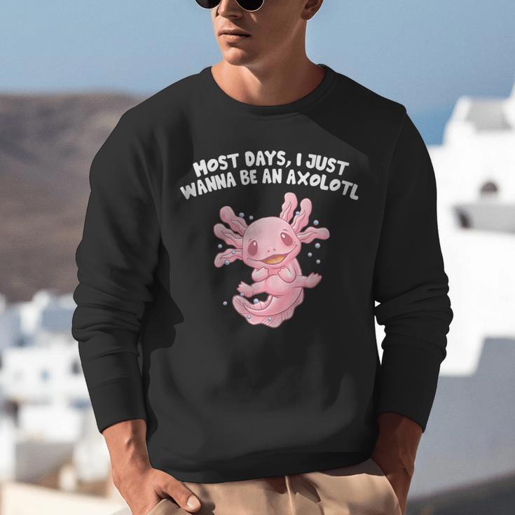 Most Days I Just Wanna Be An Axolotl Salamander Introvert Unisex Sweatshirt