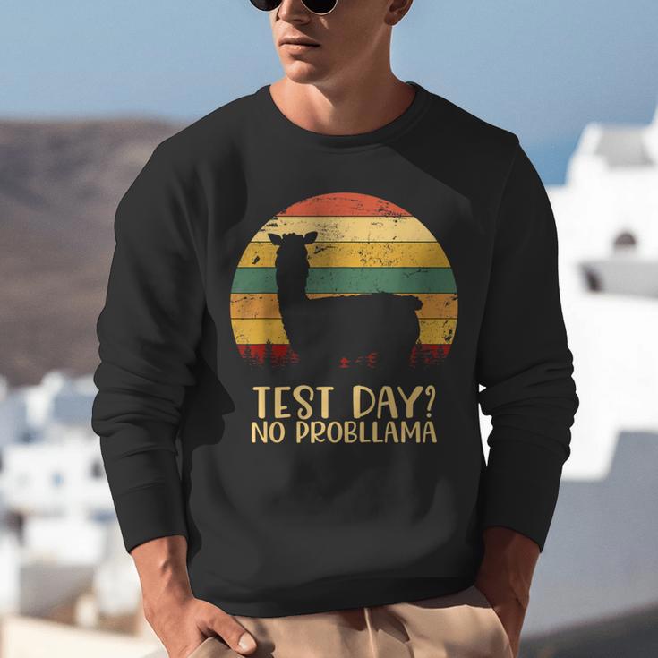 Test Day No Probllama Silhouette Teacher Student Graduation Unisex Sweatshirt