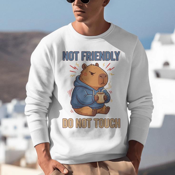 Grouchy Capybara Not Friendly Do Not Touch Introvert Premium Tri-Blend Unisex Sweatshirt Grouchy Capybara Not Friendly Do Not Touch Introvert Premium Tri-Blend Unisex Sweatshirt
