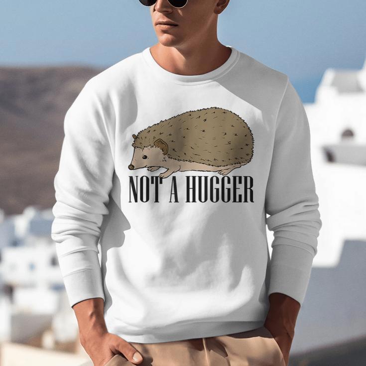 Not A Hugger Hedgehog Introvert Sarcasm Antisocial Unisex Sweatshirt
