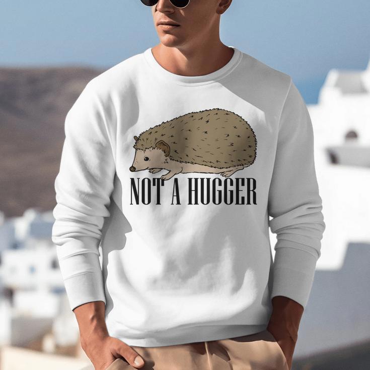 Not A Hugger Hedgehog Introvert Sarcasm Antisocial Unisex Sweatshirt Not A Hugger Hedgehog Introvert Sarcasm Antisocial Unisex Sweatshirt