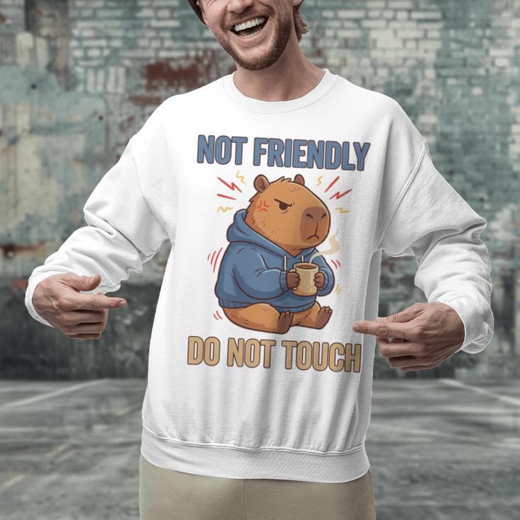 Grouchy Capybara Not Friendly Do Not Touch Introvert Premium Tri-Blend Unisex Sweatshirt Grouchy Capybara Not Friendly Do Not Touch Introvert Premium Tri-Blend Unisex Sweatshirt