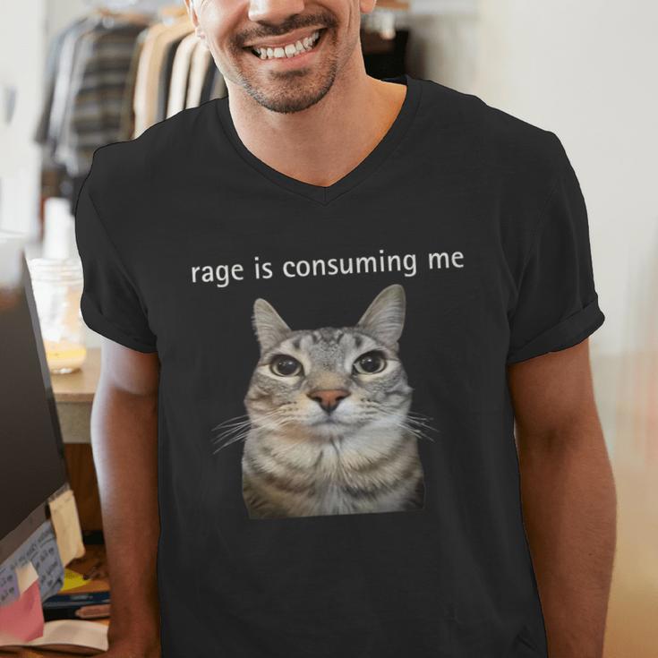 Rage Is Consuming Me Silly Staring Cat Meme Dad Mom Men's V-Neck T-Shirt