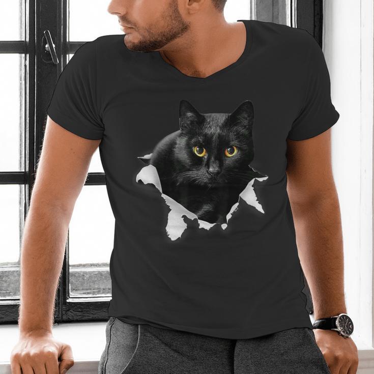 Cat Torn Cloth For Cat Lover Cat Dad Cat Mom Men's V-Neck T-Shirt