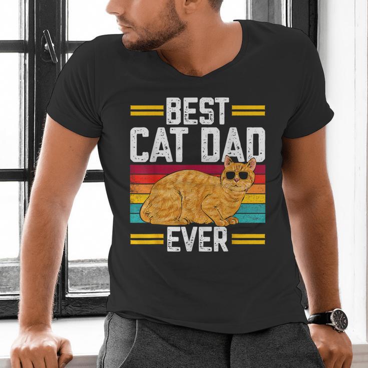 Orange Cat Best Cat Dad Ever Orange Tabby Cat Men's V-Neck T-Shirt
