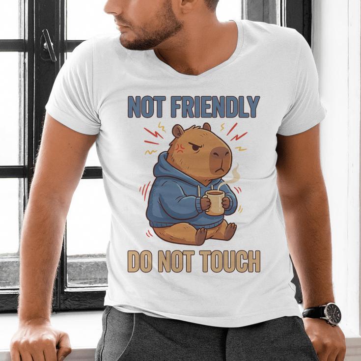 Grouchy Capybara Not Friendly Do Not Touch Introvert Premium Tri-Blend Men's V-Neck T-Shirt