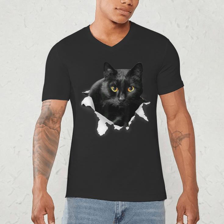 Cat Torn Cloth For Cat Lover Cat Dad Cat Mom Men's V-Neck T-Shirt