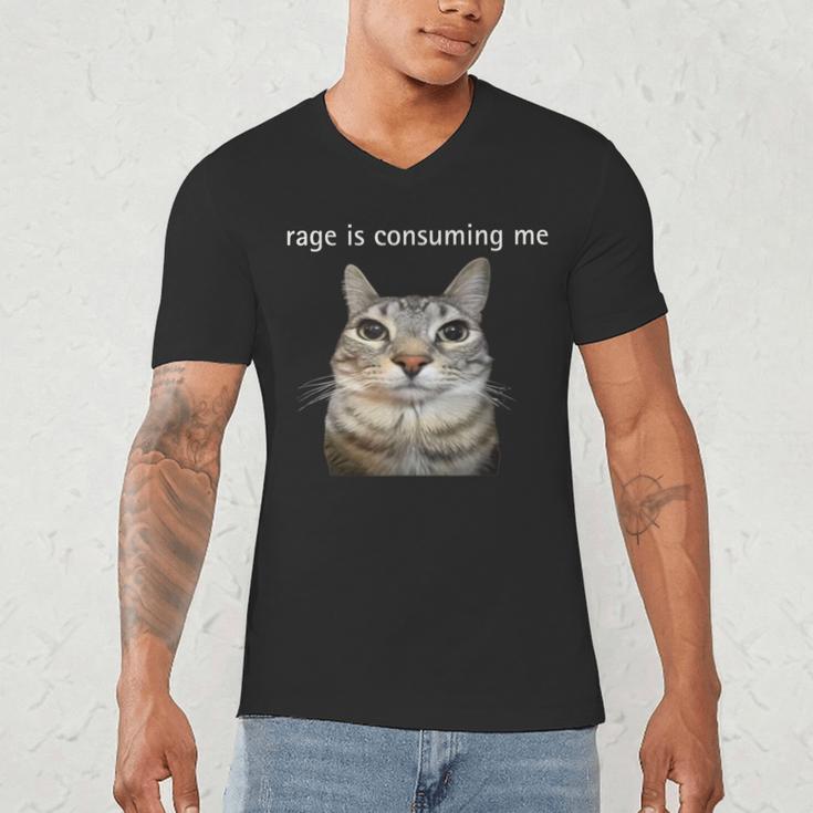 Rage Is Consuming Me Silly Staring Cat Meme Dad Mom Men's V-Neck T-Shirt