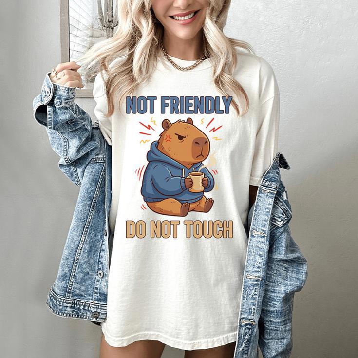 Grouchy Capybara Not Friendly Do Not Touch Introvert Premium Tri-Blend Women's Comfort Colors T-Shirt