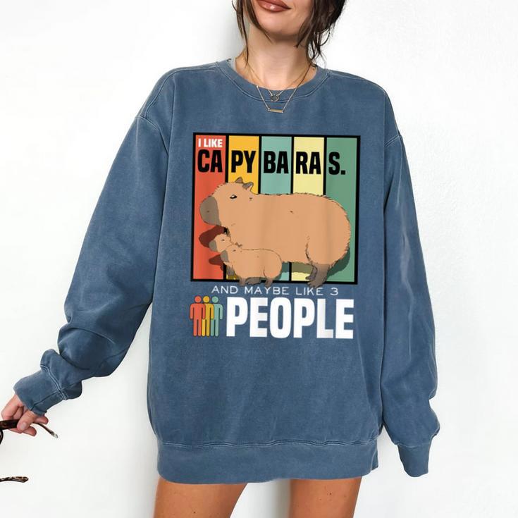 Introvert Capybara Rodent Animal Lover Antisocial Retro Comfort Colors Sweatshirt