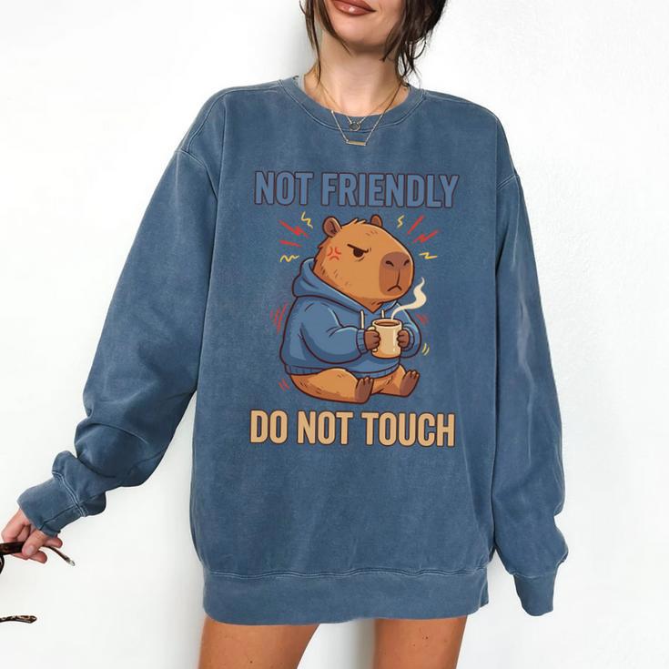 Grouchy Capybara Not Friendly Do Not Touch Introvert Premium Tri-Blend Comfort Colors Sweatshirt