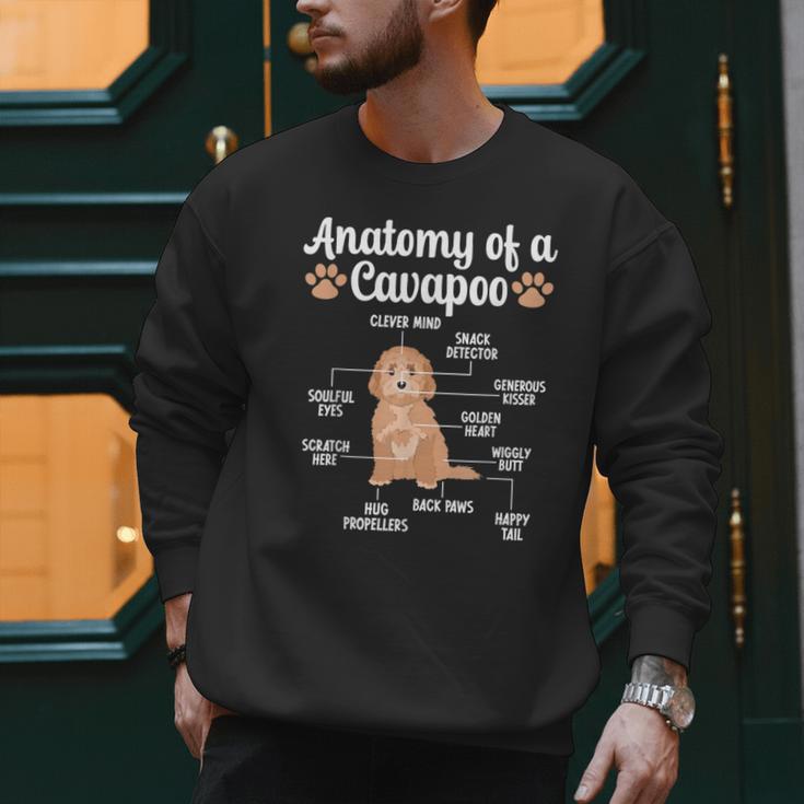 Anatomy Of A Cavapoo Dog Cavapoo Owner Cavapoo Dad Men Sweatshirt