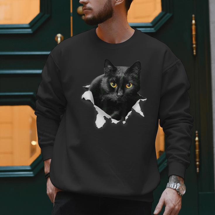 Cat Torn Cloth For Cat Lover Cat Dad Cat Mom Men Sweatshirt