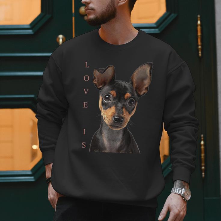Miniature Pinscher Shirt Dog Mom Dad Tshirt Love Puppy Pet Men Sweatshirt