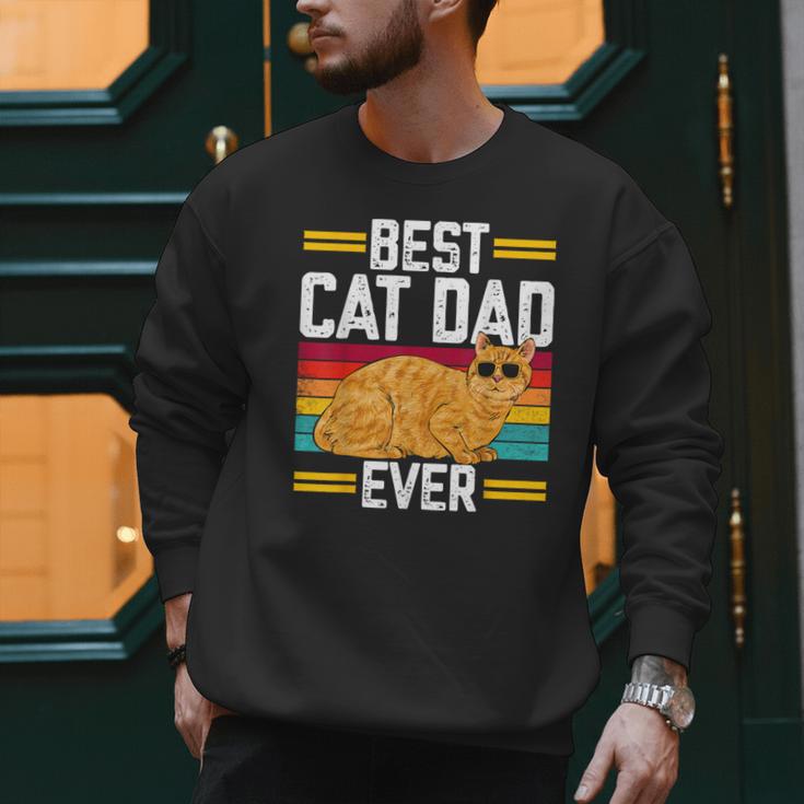 Orange Cat Best Cat Dad Ever Orange Tabby Cat Men Sweatshirt