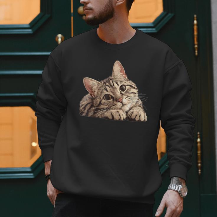 Tabby Cat Mom Dad Pet Shop Tabby Cats Kitten Tabby Cat Men Sweatshirt Tabby Cat Mom Dad Pet Shop Tabby Cats Kitten Tabby Cat Men Sweatshirt