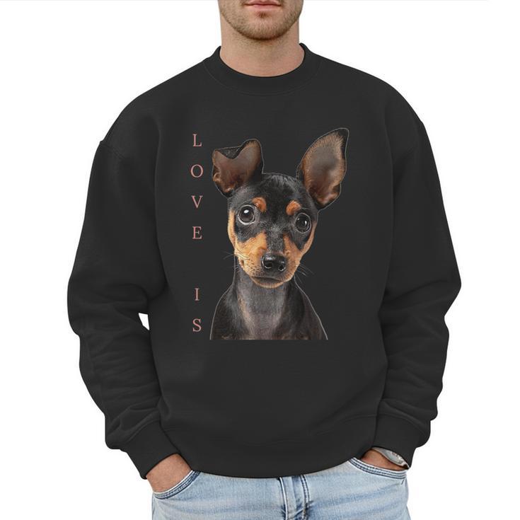 Miniature Pinscher Shirt Dog Mom Dad Tshirt Love Puppy Pet Men Sweatshirt