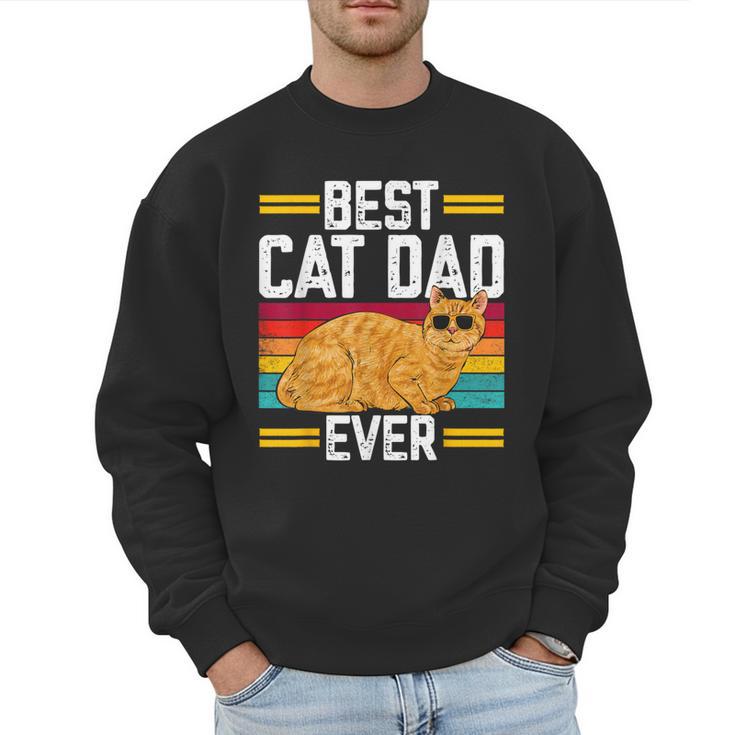Orange Cat Best Cat Dad Ever Orange Tabby Cat Men Sweatshirt