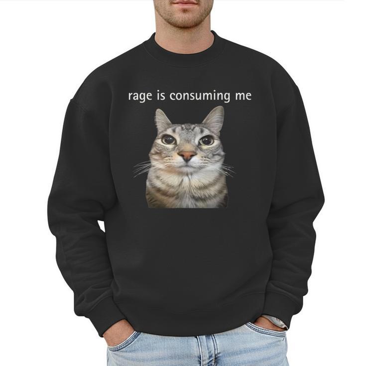 Rage Is Consuming Me Silly Staring Cat Meme Dad Mom Men Sweatshirt