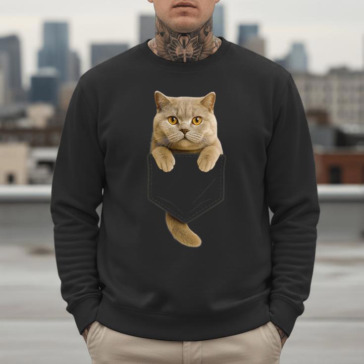 British Shorthair Cat Pocket Cat Mom Cat Dad Cat Lover Men Sweatshirt British Shorthair Cat Pocket Cat Mom Cat Dad Cat Lover Men Sweatshirt