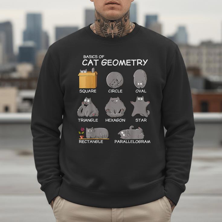 Cat Geometry Math Cat For Cat Dad Cat Mom Kids Men Sweatshirt