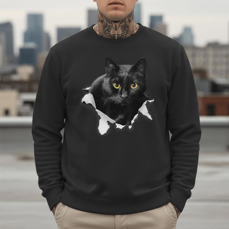 Cat Torn Cloth For Cat Lover Cat Dad Cat Mom Men Sweatshirt
