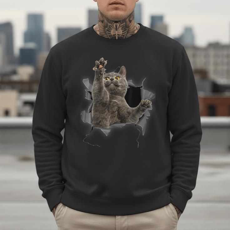 Grey Cat Torn Cloth Cat Dad Cat Mom Cat Lover Men Sweatshirt