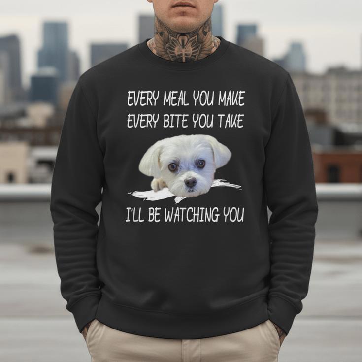 Maltese Dog Watching Owner Quote Puppy Mom Dad Men Women Girls Kids Men Sweatshirt
