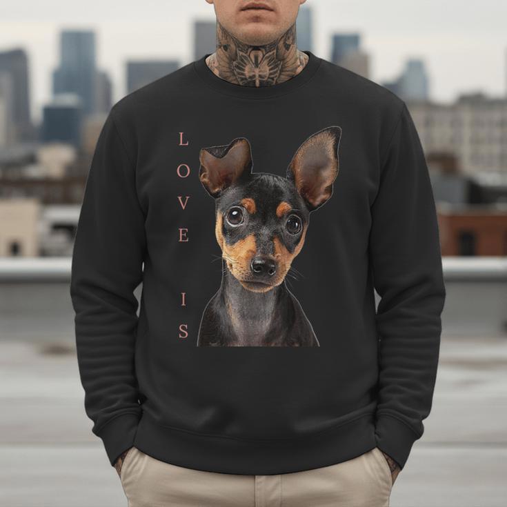 Miniature Pinscher Shirt Dog Mom Dad Tshirt Love Puppy Pet Men Sweatshirt