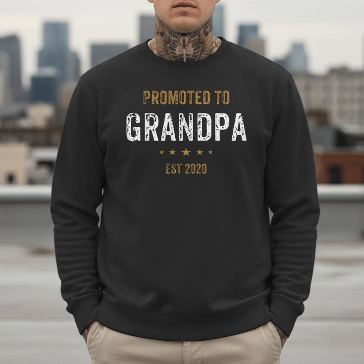 New For Dad Promoted To Grandpa Est 2020 Men Sweatshirt