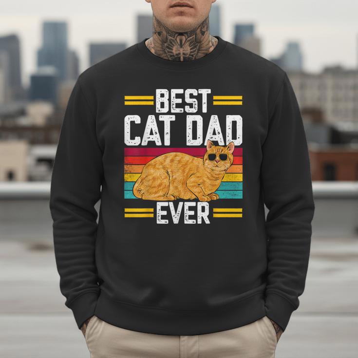 Orange Cat Best Cat Dad Ever Orange Tabby Cat Men Sweatshirt