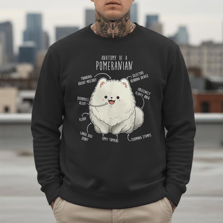 Pomeranian Anatomy Cute Pet Pom Mom Dog Dad For Men Women Girls Kids Men Sweatshirt