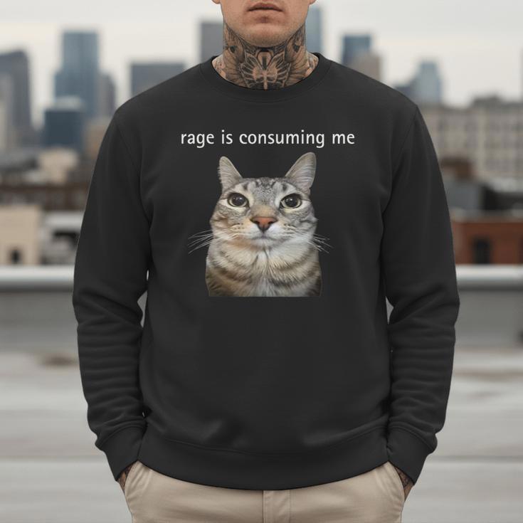 Rage Is Consuming Me Silly Staring Cat Meme Dad Mom Men Sweatshirt Rage Is Consuming Me Silly Staring Cat Meme Dad Mom Men Sweatshirt