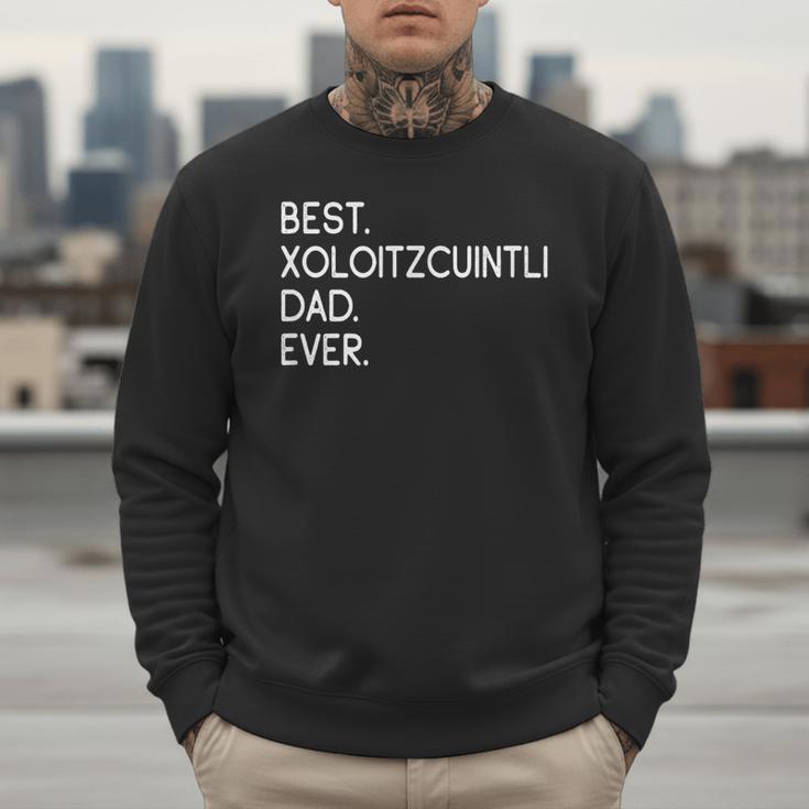 Xolos Xoloitzcuintle Best Xoloitzcuintli Dad Ever Xolo Dog Men Sweatshirt