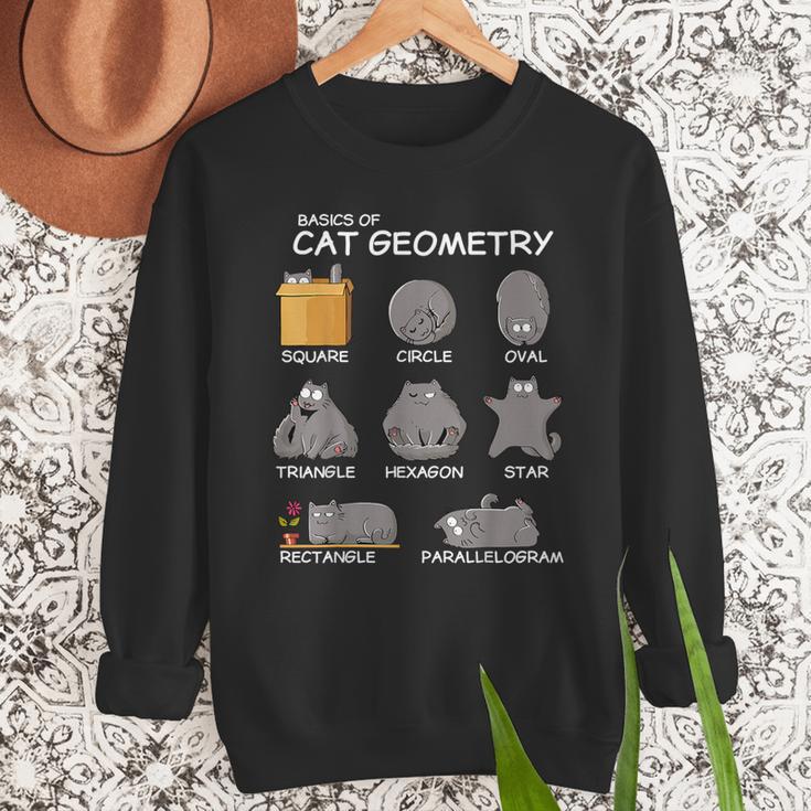 Cat Geometry Math Cat For Cat Dad Cat Mom Kids Men Sweatshirt
