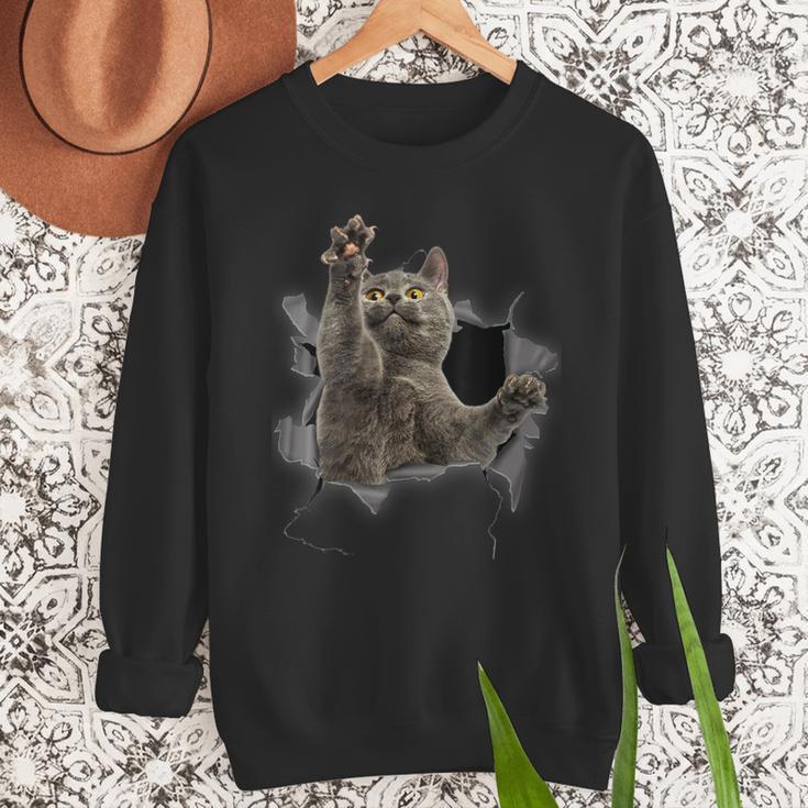 Grey Cat Torn Cloth Cat Dad Cat Mom Cat Lover Men Sweatshirt