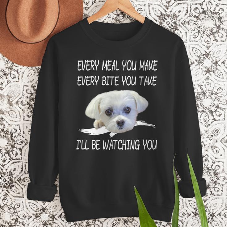 Maltese Dog Watching Owner Quote Puppy Mom Dad Men Women Girls Kids Men Sweatshirt
