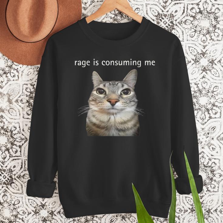 Rage Is Consuming Me Silly Staring Cat Meme Dad Mom Men Sweatshirt Rage Is Consuming Me Silly Staring Cat Meme Dad Mom Men Sweatshirt