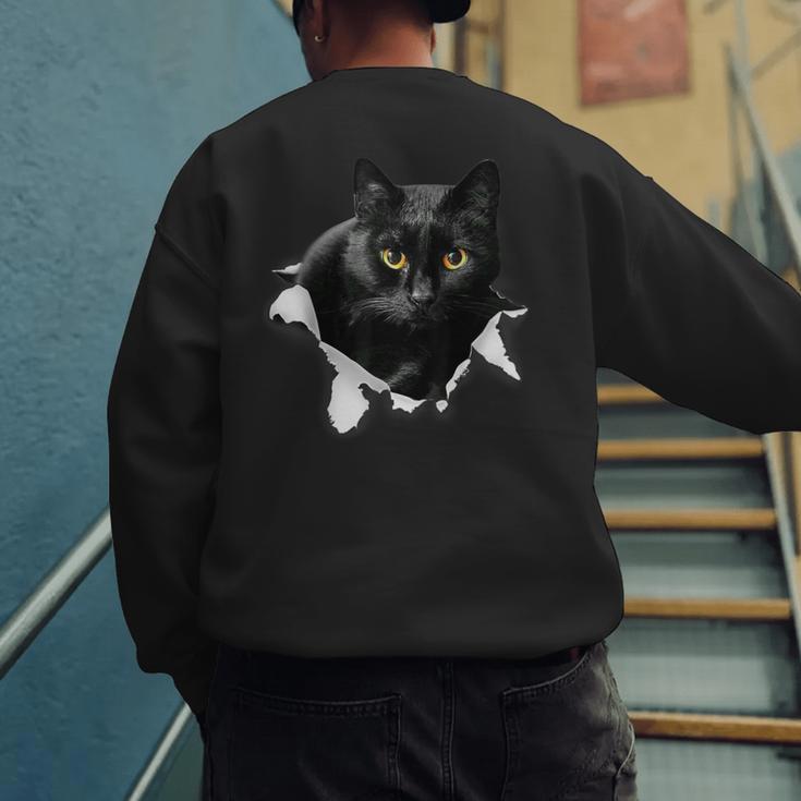Cat Torn Cloth For Cat Lover Cat Dad Cat Mom Men's Sweatshirt Back Print