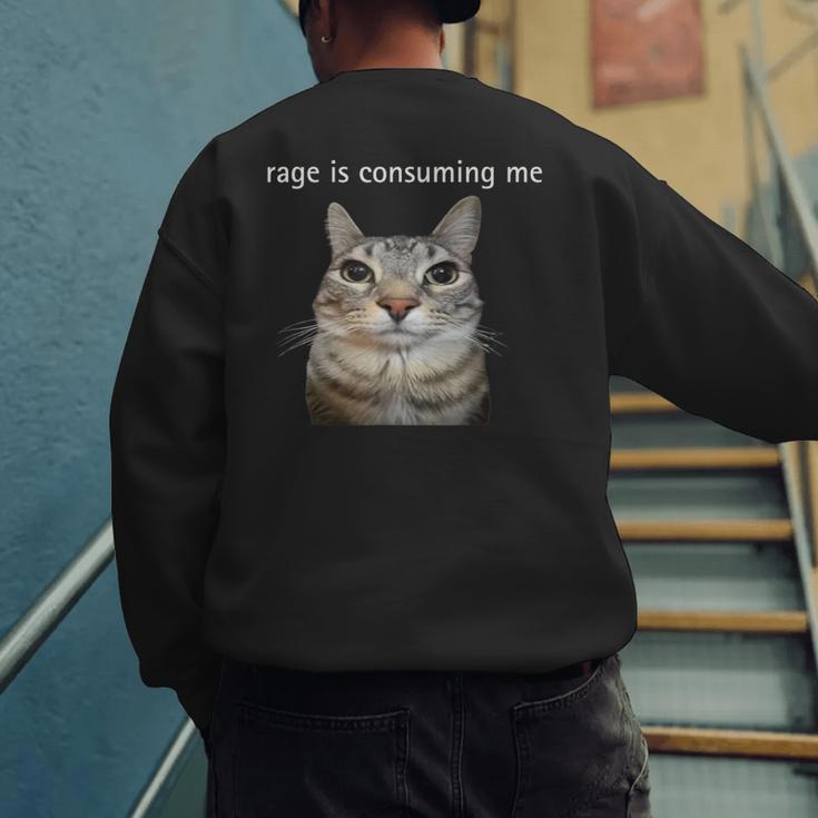Rage Is Consuming Me Silly Staring Cat Meme Dad Mom Men's Sweatshirt Back Print Rage Is Consuming Me Silly Staring Cat Meme Dad Mom Men's Sweatshirt Back Print