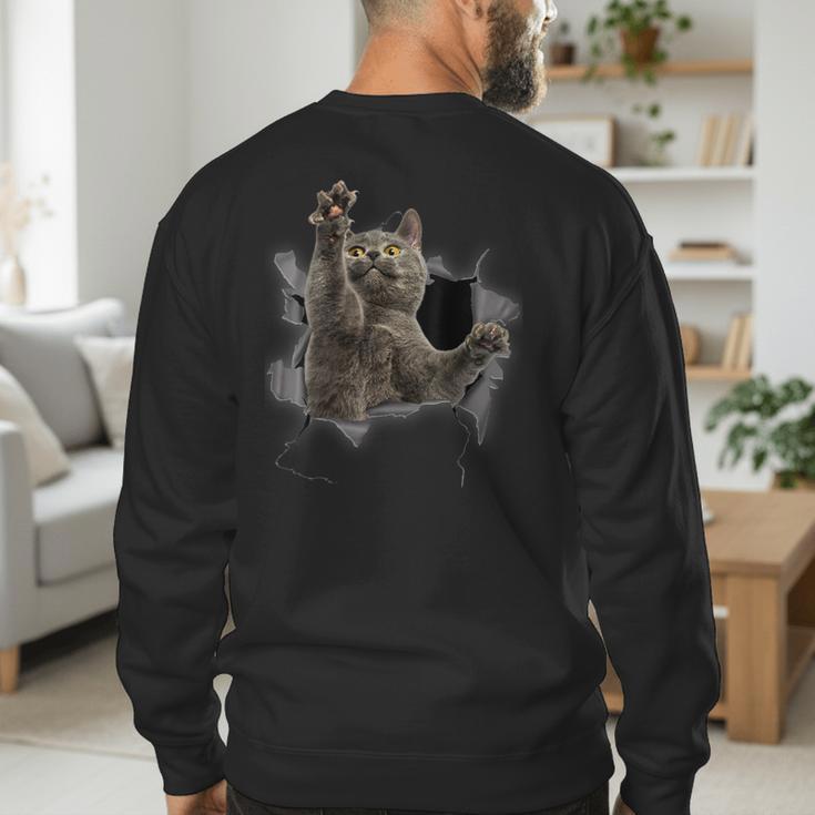 Grey Cat Torn Cloth Cat Dad Cat Mom Cat Lover Men's Sweatshirt Back Print