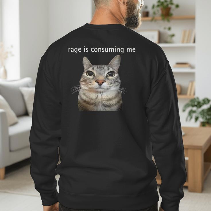 Rage Is Consuming Me Silly Staring Cat Meme Dad Mom Men's Sweatshirt Back Print Rage Is Consuming Me Silly Staring Cat Meme Dad Mom Men's Sweatshirt Back Print
