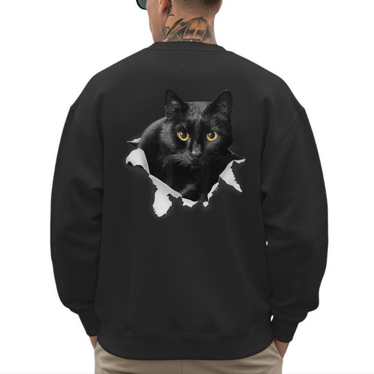 Cat Torn Cloth For Cat Lover Cat Dad Cat Mom Men's Sweatshirt Back Print