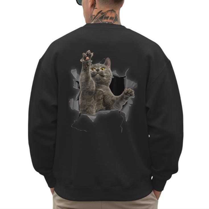Grey Cat Torn Cloth Cat Dad Cat Mom Cat Lover Men's Sweatshirt Back Print