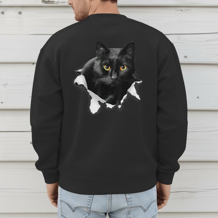 Cat Torn Cloth For Cat Lover Cat Dad Cat Mom Men's Sweatshirt Back Print