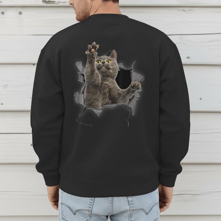 Grey Cat Torn Cloth Cat Dad Cat Mom Cat Lover Men's Sweatshirt Back Print