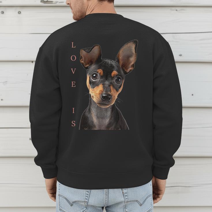 Miniature Pinscher Shirt Dog Mom Dad Tshirt Love Puppy Pet Men's Sweatshirt Back Print